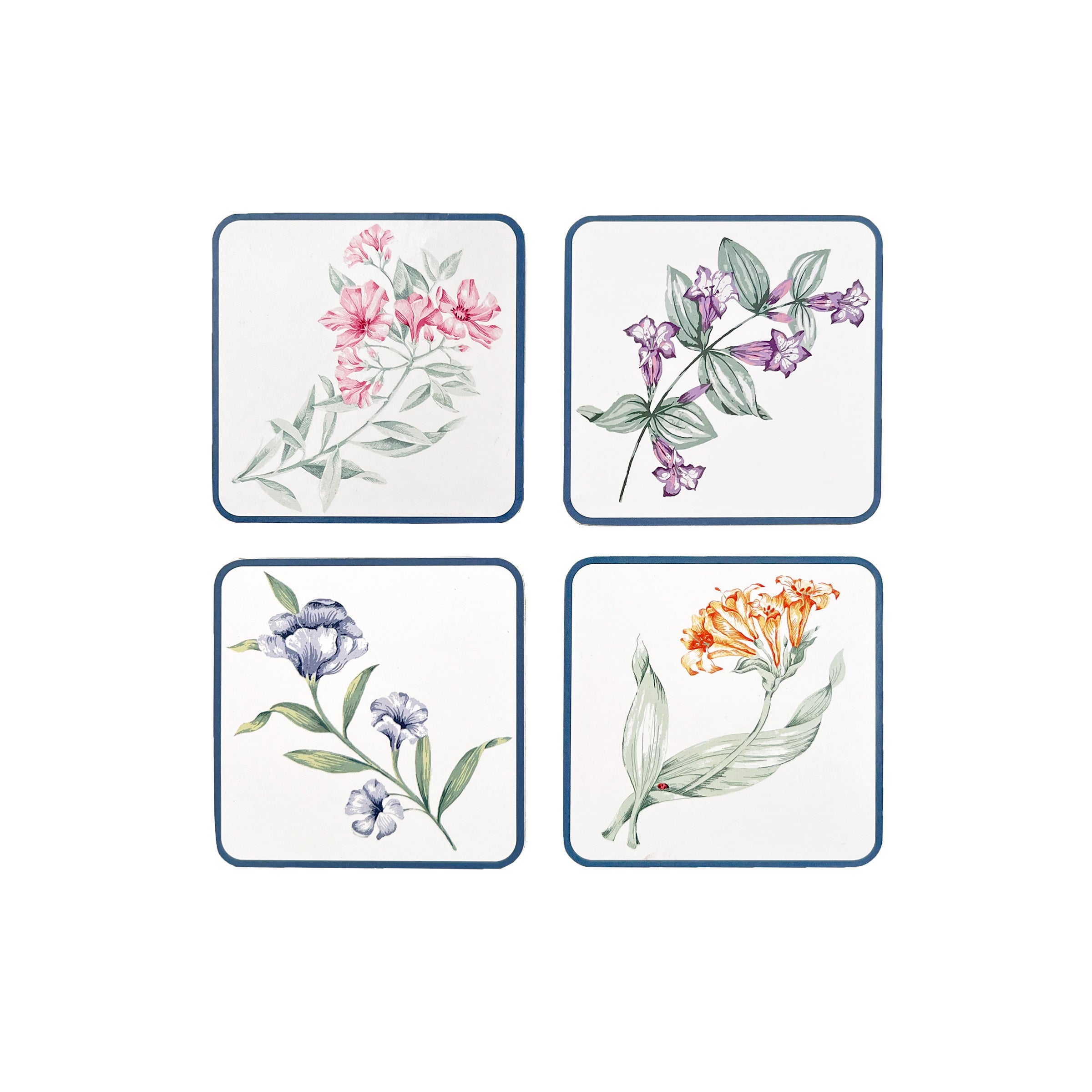 Butterfly Meadow Floral Cork Coasters - Set of 4 Garden-Themed