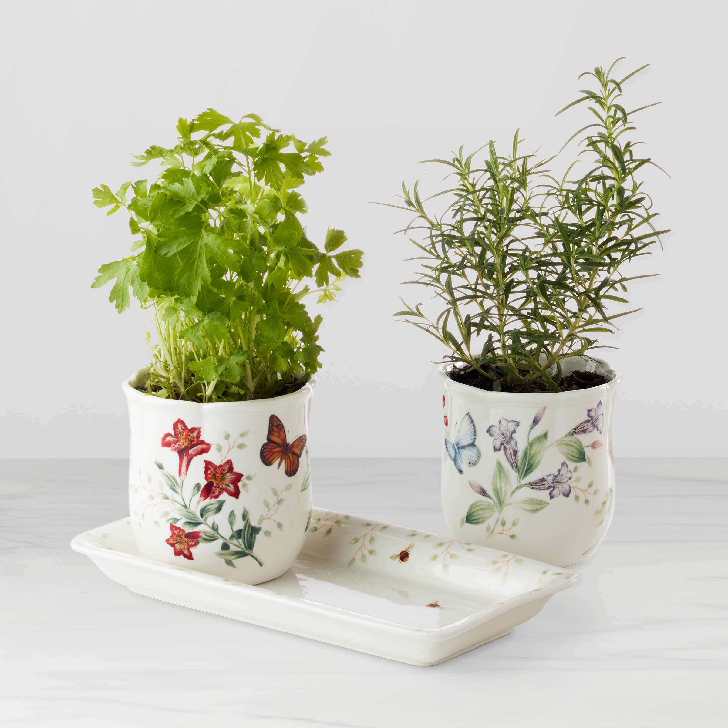Butterfly Meadow Herb Pots Set with Tray - 3-Piece Kitchen Decor