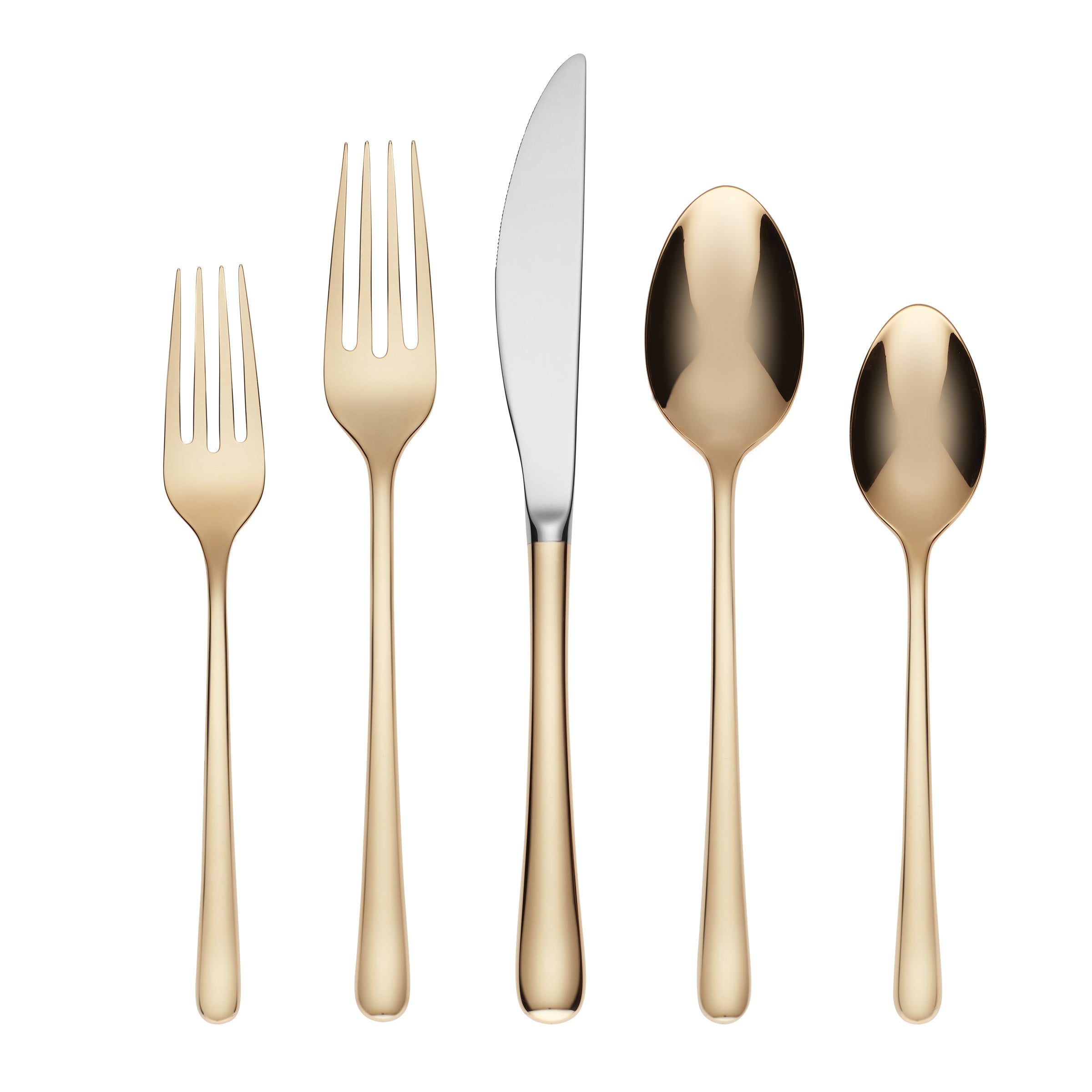Samantha Gold 18/10 Stainless Steel 5-Piece Place Setting